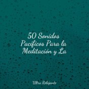 50 Sonidos Pacíficos Para la Meditación y La