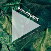 #01 Rain Sounds for Night Sleep, Relaxing, Yoga, to Quiet Down
