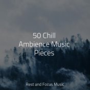 50 Chill Ambience Music Pieces