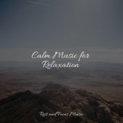 Calm Music for Relaxation