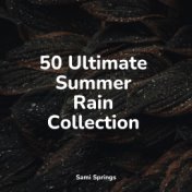 50 Ultimate Summer Rain Collection