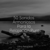 50 Sonidos Armoniosos Para la Relajación Pura