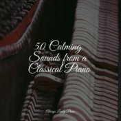 50 Calming Sounds from a Classical Piano