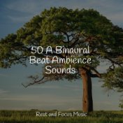 50 A Binaural Beat Ambience Sounds
