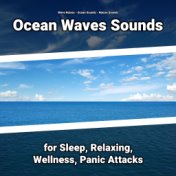 Ocean Waves Sounds for Sleep, Relaxing, Wellness, Panic Attacks