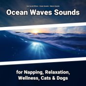 Ocean Waves Sounds for Napping, Relaxation, Wellness, Cats & Dogs