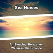Sea Noises for Sleeping, Relaxation, Wellness, Disturbance
