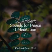 50 Ambient Sounds for Peace & Meditation