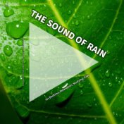 #01 The Sound of Rain for Bedtime, Relaxation, Studying, Kids