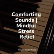 Comforting Sounds | Mindful Stress Relief