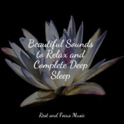 Beautiful Sounds to Relax and Complete Deep Sleep