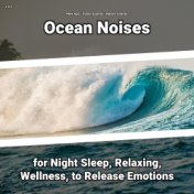 z Z z Ocean Noises for Night Sleep, Relaxing, Wellness, to Release Emotions