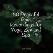 50 Peaceful Rain Recordings for Yoga, Zen and Spa