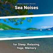 Sea Noises for Sleep, Relaxing, Yoga, Memory