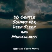 50 Gentle Sounds for Deep Sleep and Mindfulness