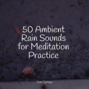 50 Ambient Rain Sounds for Meditation Practice