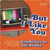 ...But I Like You: Celebrities in the Studio