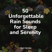 50 Unforgettable Rain Sounds for Sleep and Serenity