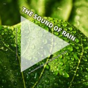 #01 The Sound of Rain for Relaxation, Night Sleep, Studying, the Shower