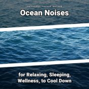 Ocean Noises for Relaxing, Sleeping, Wellness, to Cool Down