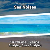 Sea Noises for Relaxing, Sleeping, Studying, Close Studying