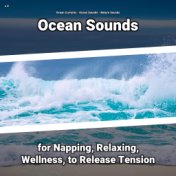 z Z Ocean Sounds for Napping, Relaxing, Wellness, to Release Tension