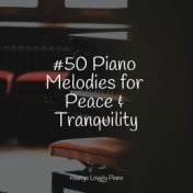 #50 Piano Melodies for Peace & Tranquility
