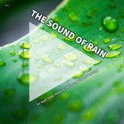 #01 The Sound of Rain for Night Sleep, Relaxing, Wellness, Autogenic Training