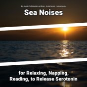 Sea Noises for Relaxing, Napping, Reading, to Release Serotonin