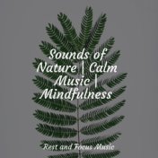 Sounds of Nature | Calm Music | Mindfulness