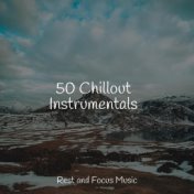 50 Chillout Instrumentals