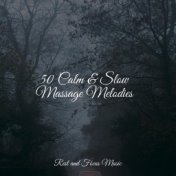 50 Calm & Slow Massage Melodies