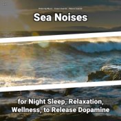 z Z Sea Noises for Night Sleep, Relaxation, Wellness, to Release Dopamine