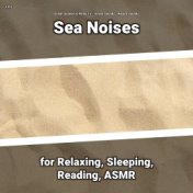 z Z z Sea Noises for Relaxing, Sleeping, Reading, ASMR