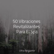50 Vibraciones Revitalizantes Para El Spa