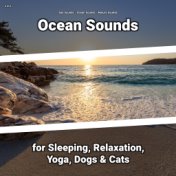 z Z z Ocean Sounds for Sleeping, Relaxation, Yoga, Dogs & Cats