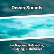 Ocean Sounds for Napping, Relaxation, Studying, Disturbance