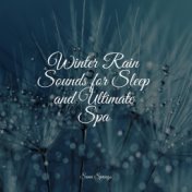 Winter Rain Sounds for Sleep and Ultimate Spa