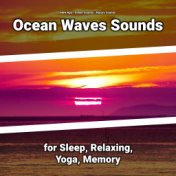 Ocean Waves Sounds for Sleep, Relaxing, Yoga, Memory