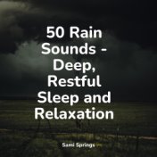 50 Ambient Rain Sounds for Peaceful Sleep