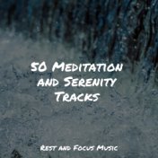 50 Meditation and Serenity Tracks