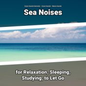 Sea Noises for Relaxation, Sleeping, Studying, to Let Go