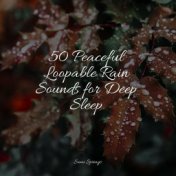50 Peaceful Loopable Rain Sounds for Deep Sleep