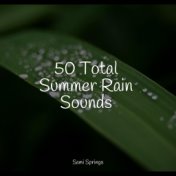 50 Total Summer Rain Sounds