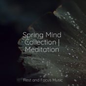 Spring Mind Collection | Meditation