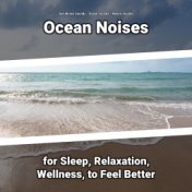 Ocean Noises for Sleep, Relaxation, Wellness, to Feel Better