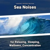 Sea Noises for Relaxing, Sleeping, Wellness, Concentration