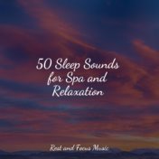 50 Sleep Sounds for Spa and Relaxation