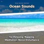 z Z Ocean Sounds for Relaxing, Napping, Meditation, Noise Disturbance