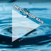 #01 The Sound of Rain for Sleep, Relaxing, Studying, the Mind